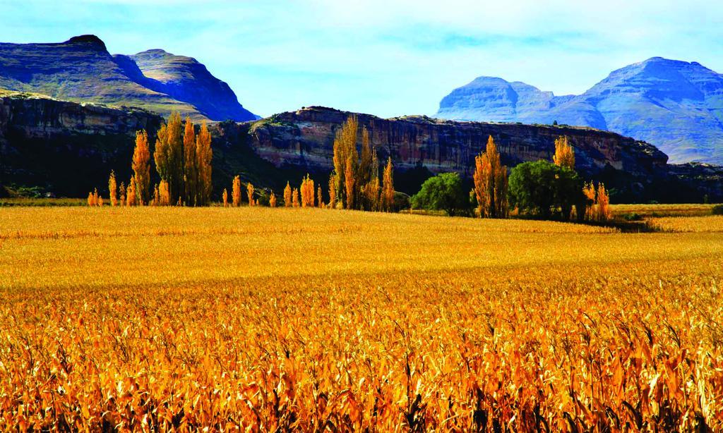 Lola'S Self Catering Accommodation Clarens Eksteriør billede