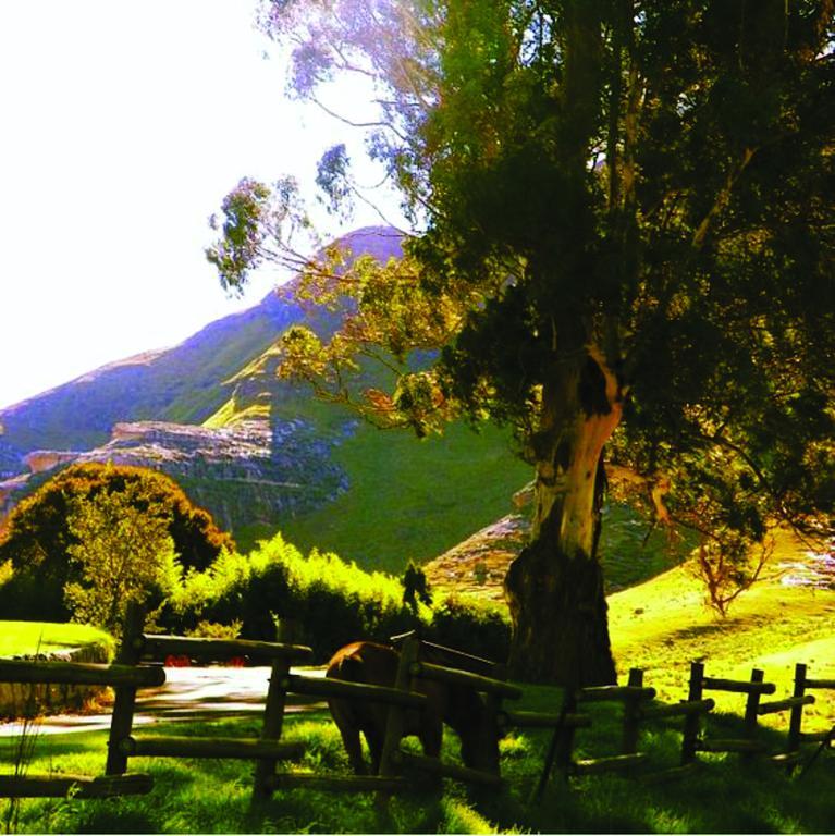 Lola'S Self Catering Accommodation Clarens Eksteriør billede